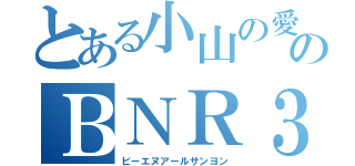 とある小山の愛車のＢＮＲ３４（ビーエヌアールサンヨン）