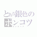 とある銀色のポンコツ（カシオペア）