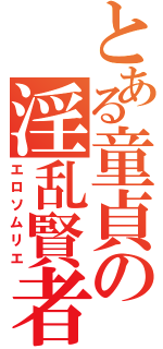 とある童貞の淫乱賢者（エロソムリエ）