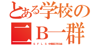 とある学校の二Ｂ一群（Ｓ Ｆ Ｌ Ｓ 中等部三年Ｂ組）