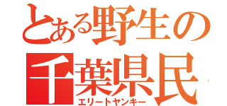 とある野生の千葉県民（エリートヤンキー）