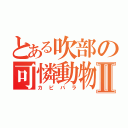 とある吹部の可憐動物Ⅱ（カピバラ）