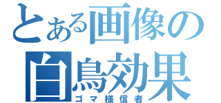 とある画像の白鳥効果（ゴマ様信者）