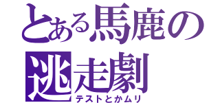 とある馬鹿の逃走劇（テストとかムリ）