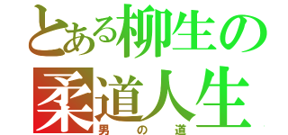 とある柳生の柔道人生（男の道）