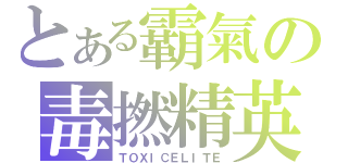 とある霸氣の毒撚精英（ＴＯＸＩＣＥＬＩＴＥ）