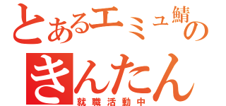 とあるエミュ鯖のきんたんらいだー（就職活動中）