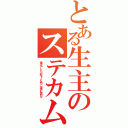 とある生主のステカム（進化した右下と共に進む面々）