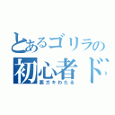 とあるゴリラの初心者ドライバー（悪ガキわたる）