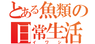 とある魚類の日常生活（イワシ）