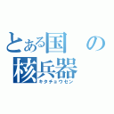 とある国の核兵器（キタチョウセン）