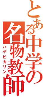 とある中学の名物教師Ⅱ（ハゲピカリン）