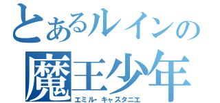 とあるルインの魔王少年（エミル・キャスタニエ）