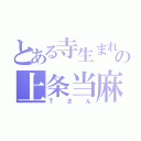 とある寺生まれの上条当麻（Ｔさん）