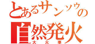 とあるサンソウの自然発火（大火事）