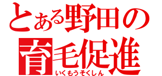 とある野田の育毛促進（いくもうそくしん）