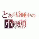 とある昏睡中の小饅頭（インデックス）