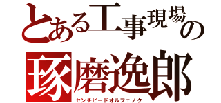 とある工事現場の琢磨逸郎（センチピードオルフェノク）