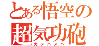 とある悟空の超気功砲（カメハメハ）