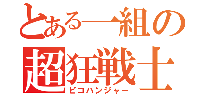 とある一組の超狂戦士（ピコハンジャー）