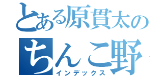 とある原貫太のちんこ野郎（インデックス）