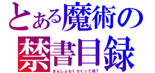 とある魔術の禁書目録？（きんしょもくろくって何？）