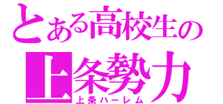 とある高校生の上条勢力（上条ハーレム）