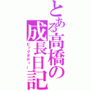 とある高橋の成長日記（ビッグダディー）