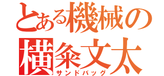 とある機械の横粂文太（サンドバッグ）