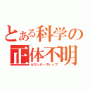 とある科学の正体不明（カウンターストップ）