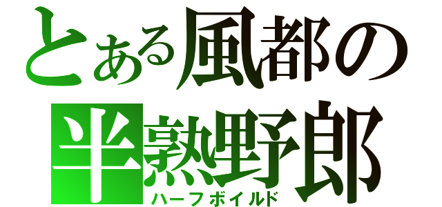 とある風都の半熟野郎（ハーフボイルド）