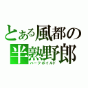 とある風都の半熟野郎（ハーフボイルド）