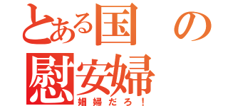 とある国の慰安婦（娼婦だろ！）