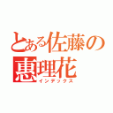 とある佐藤の惠理花（インデックス）