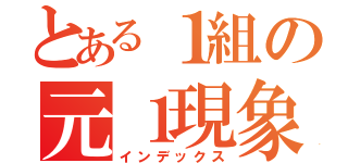 とある１組の元１現象（インデックス）