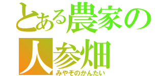 とある農家の人参畑（みやぞのかんたい）