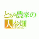 とある農家の人参畑（みやぞのかんたい）