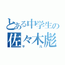 とある中学生の佐々木彪（平凡）