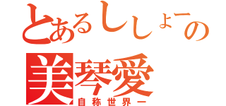 とあるししょーの美琴愛（自称世界一）