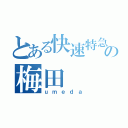 とある快速特急梅田行きの梅田（ｕｍｅｄａ）