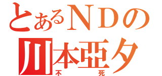 とあるＮＤの川本亞夕（不死）