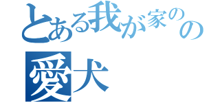 とある我が家のの愛犬（）