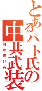 とあるパト氏の中共武装Ⅱ（何か怖いｗ）