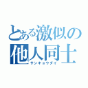 とある激似の他人同士（サンキョウダイ）