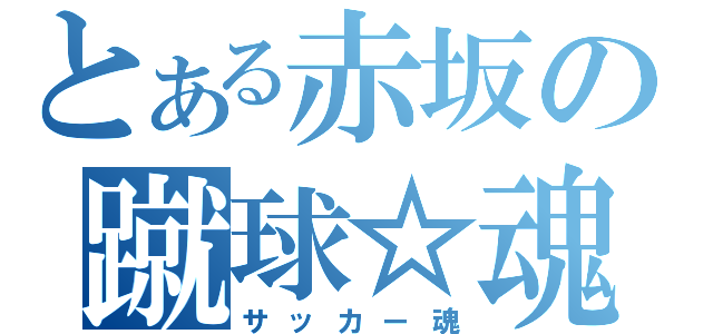 とある赤坂の蹴球☆魂（サッカー魂）