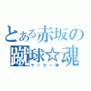 とある赤坂の蹴球☆魂（サッカー魂）