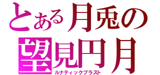 とある月兎の望見円月（ルナティックブラスト）