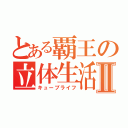 とある覇王の立体生活Ⅱ（キューブライフ）