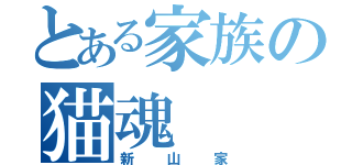 とある家族の猫魂（新山家）