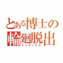 とある博士の輪廻脱出（インデックス）